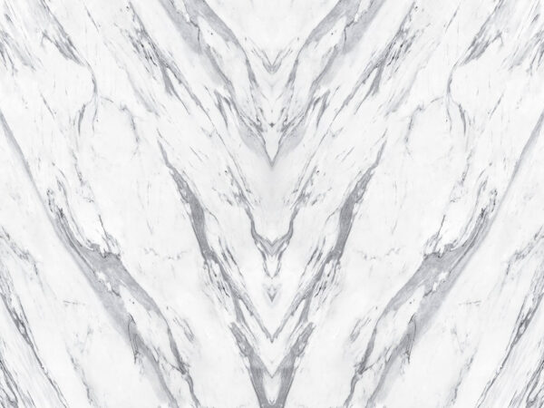 Superficie in marmo bianco con linee nere Superficie in marmo bianco con linee nere
