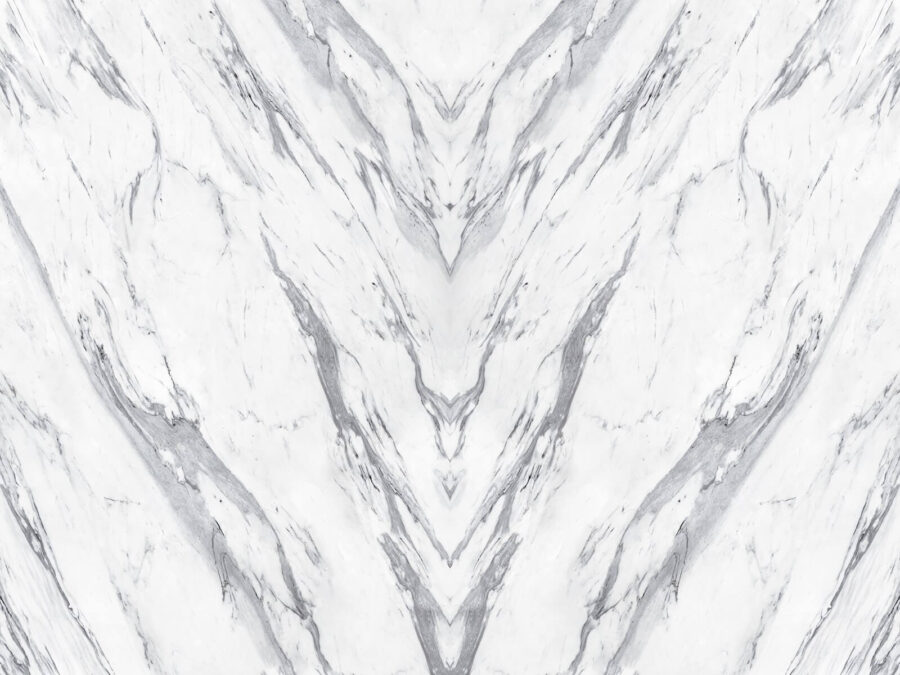 Superficie in marmo bianco con linee nere Superficie in marmo bianco con linee nere