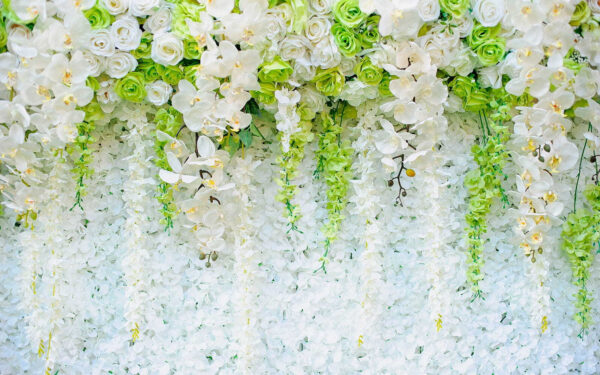 Parete di fiori e viti Parete di fiori e viti