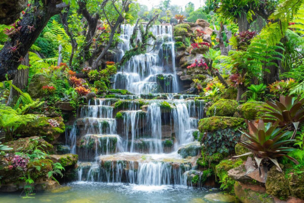 Cascata in un giardino tropicale Cascata in un giardino tropicale