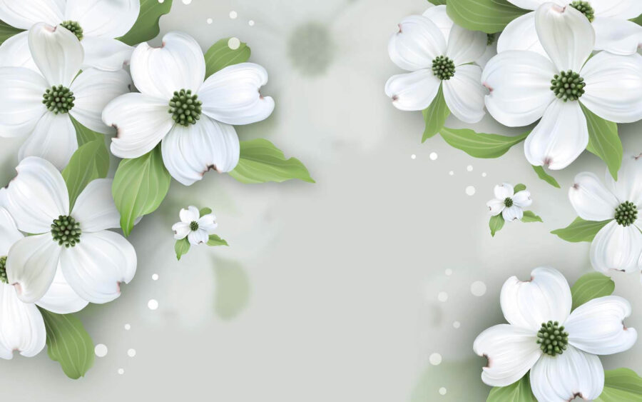 Fiori bianchi con foglie verdi