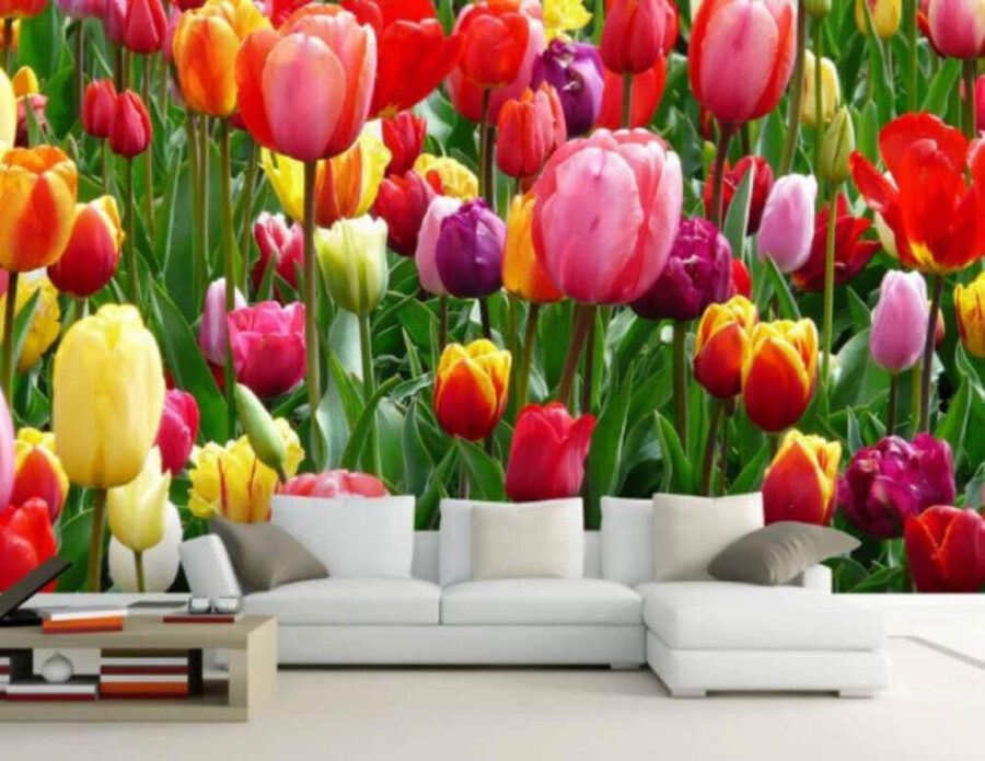Gruppo di tulipani colorati