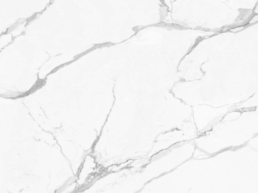 Marmo bianco con venature nere