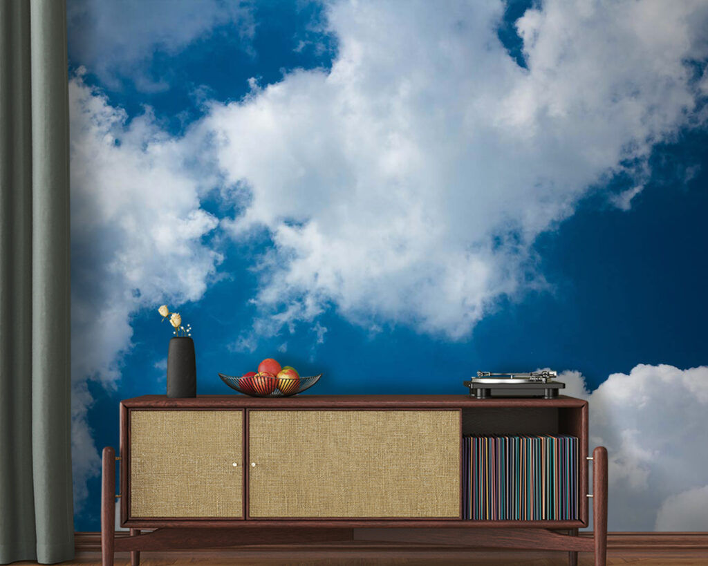 u08651pig20m 1024x819 - Cielo blu con nuvole - tegory