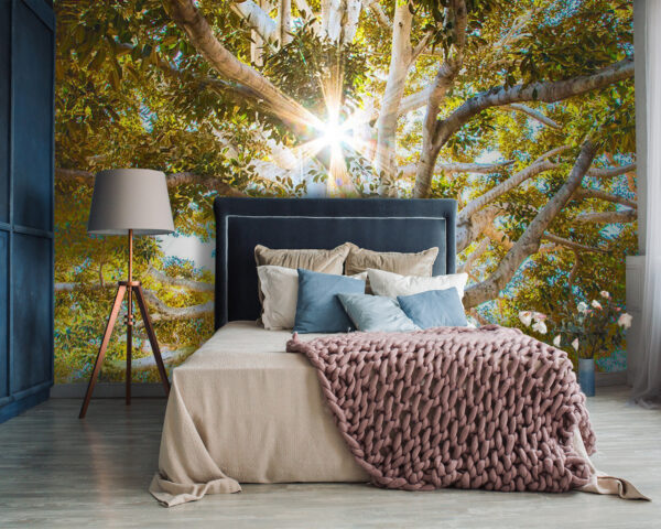 Un albero maestoso alla luce del sole Un albero maestoso alla luce del sole