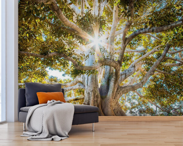 Un albero maestoso alla luce del sole Un albero maestoso alla luce del sole