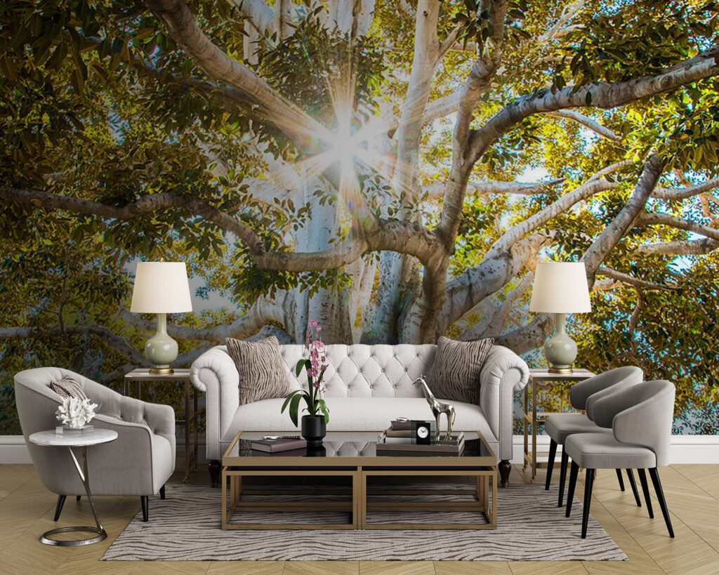 u01271pig43m 1024x819 - Un albero maestoso alla luce del sole - tegory