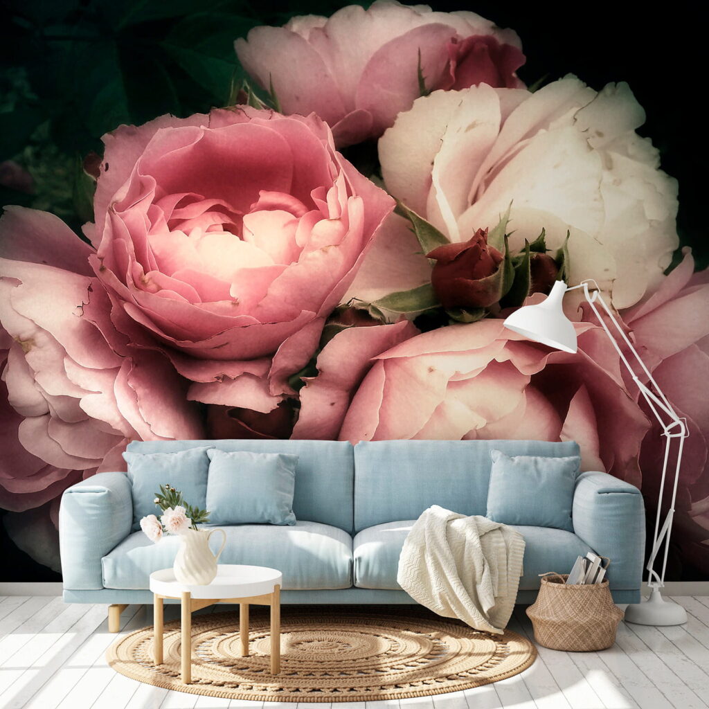 Group of pink and white roses