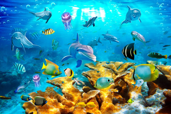 Gruppo di pesci che nuotano nell'acqua u05625p 600x400 - Gruppo di pesci che nuotano nell'acqua - tegory