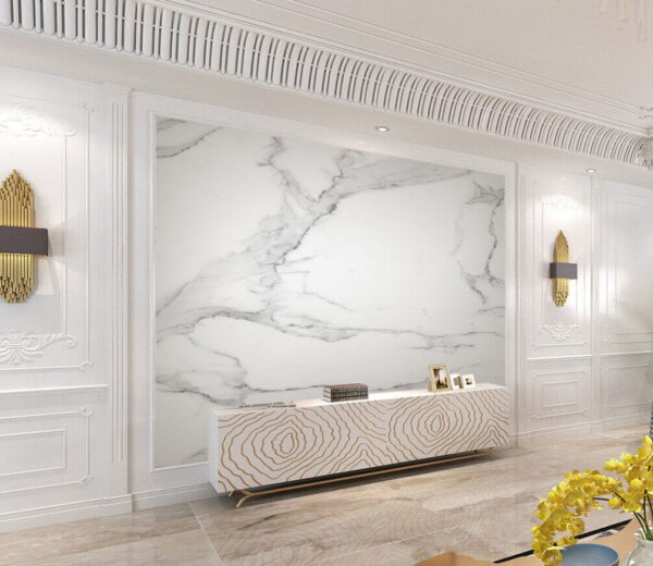 Superficie in marmo bianco con venature nere Superficie in marmo bianco con venature nere