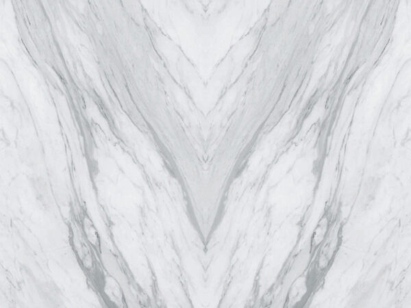 Superficie in marmo bianco con venature nere Superficie in marmo bianco con venature nere