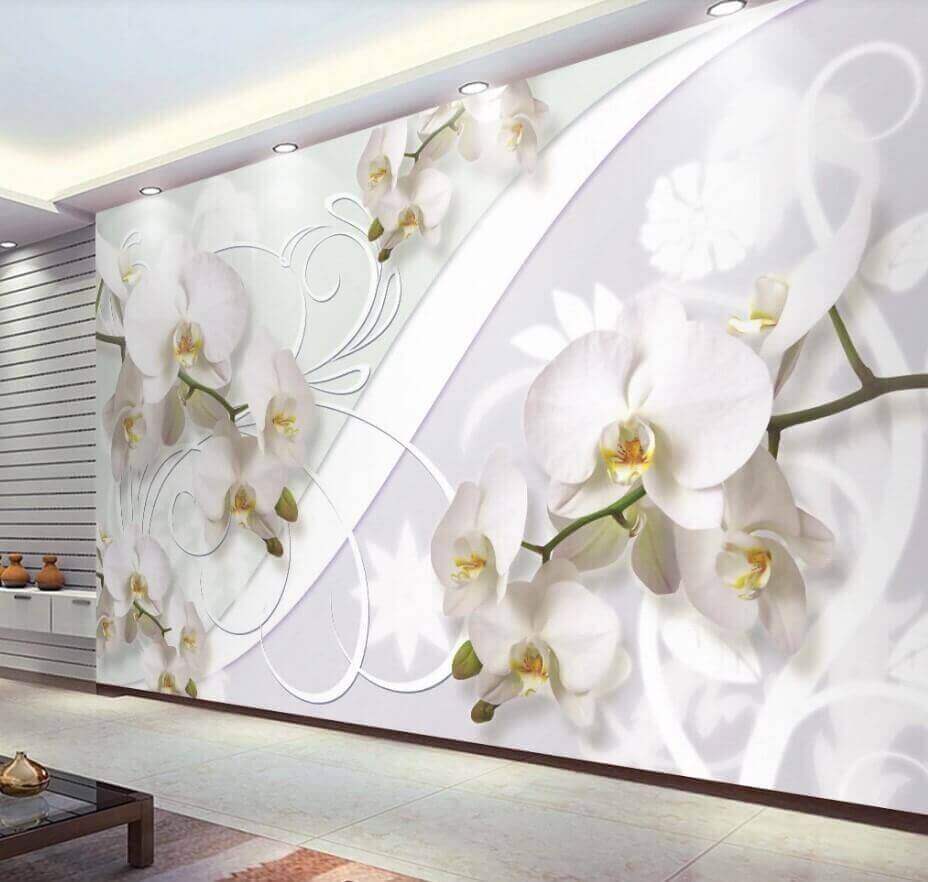 u04707pih1m - Delicate orchidee dalle tonalità tenui - tegory