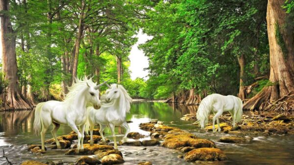 Gruppo di unicorni bianchi in un fiume Gruppo di unicorni bianchi in un fiume