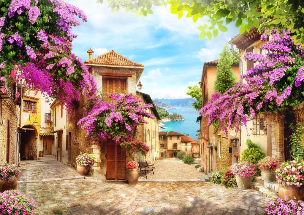 Strada con fiori e alberi Strada con fiori e alberi