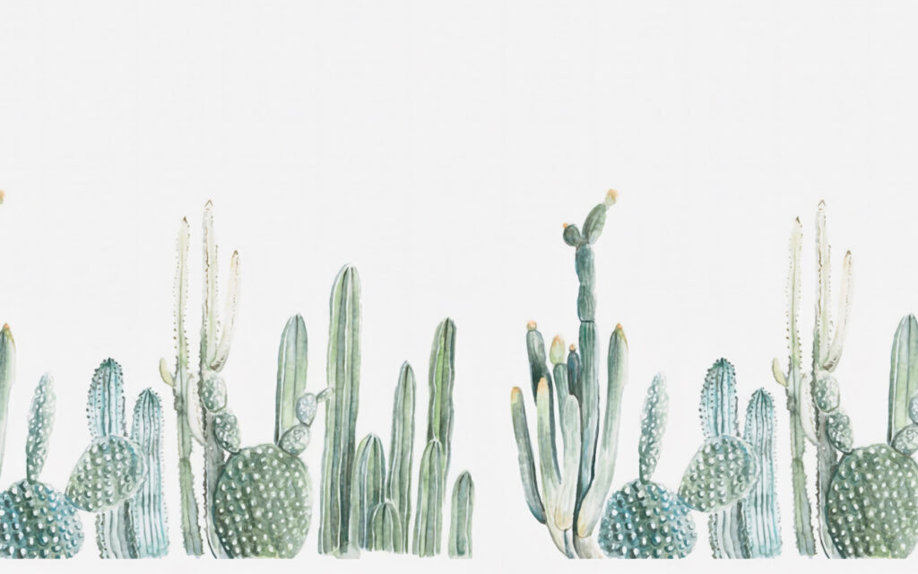 Gruppo di cactus su sfondo bianco Gruppo di cactus su sfondo bianco