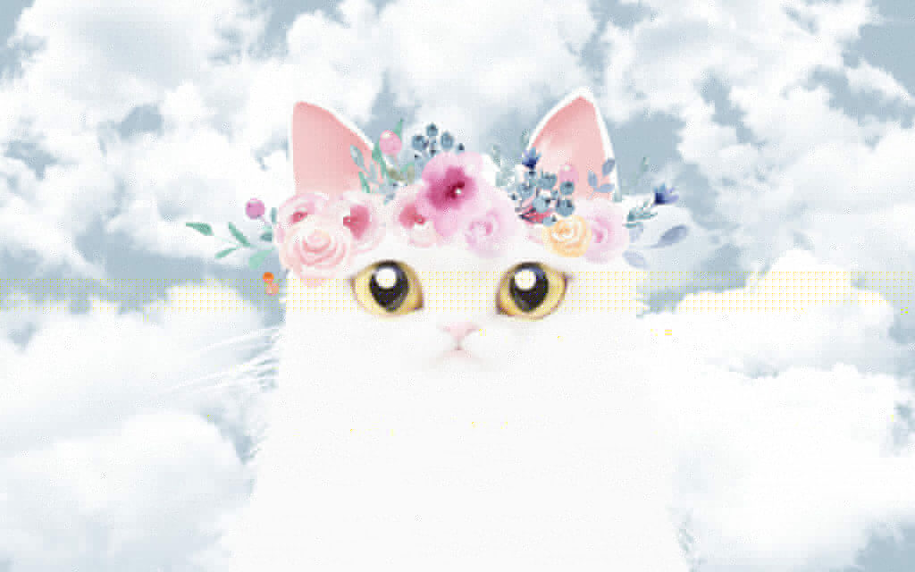 Gatto con fiori in testa Gatto con fiori in testa