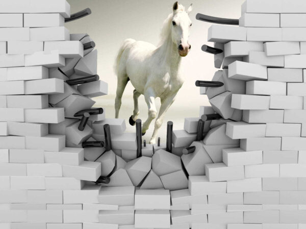 Cavallo che attraversa un muro Cavallo che attraversa un muro