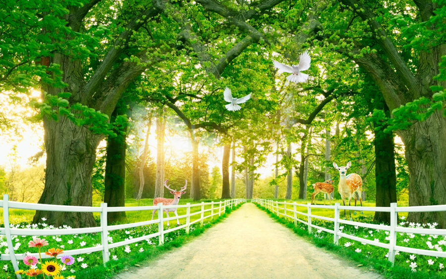 Sentiero con alberi, recinzione bianca e cervi