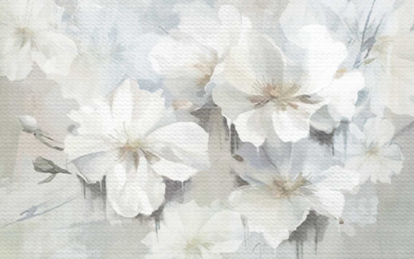 Delicati fiori bianchi dalle tonalità tenui. Delicati fiori bianchi dalle tonalità tenui.