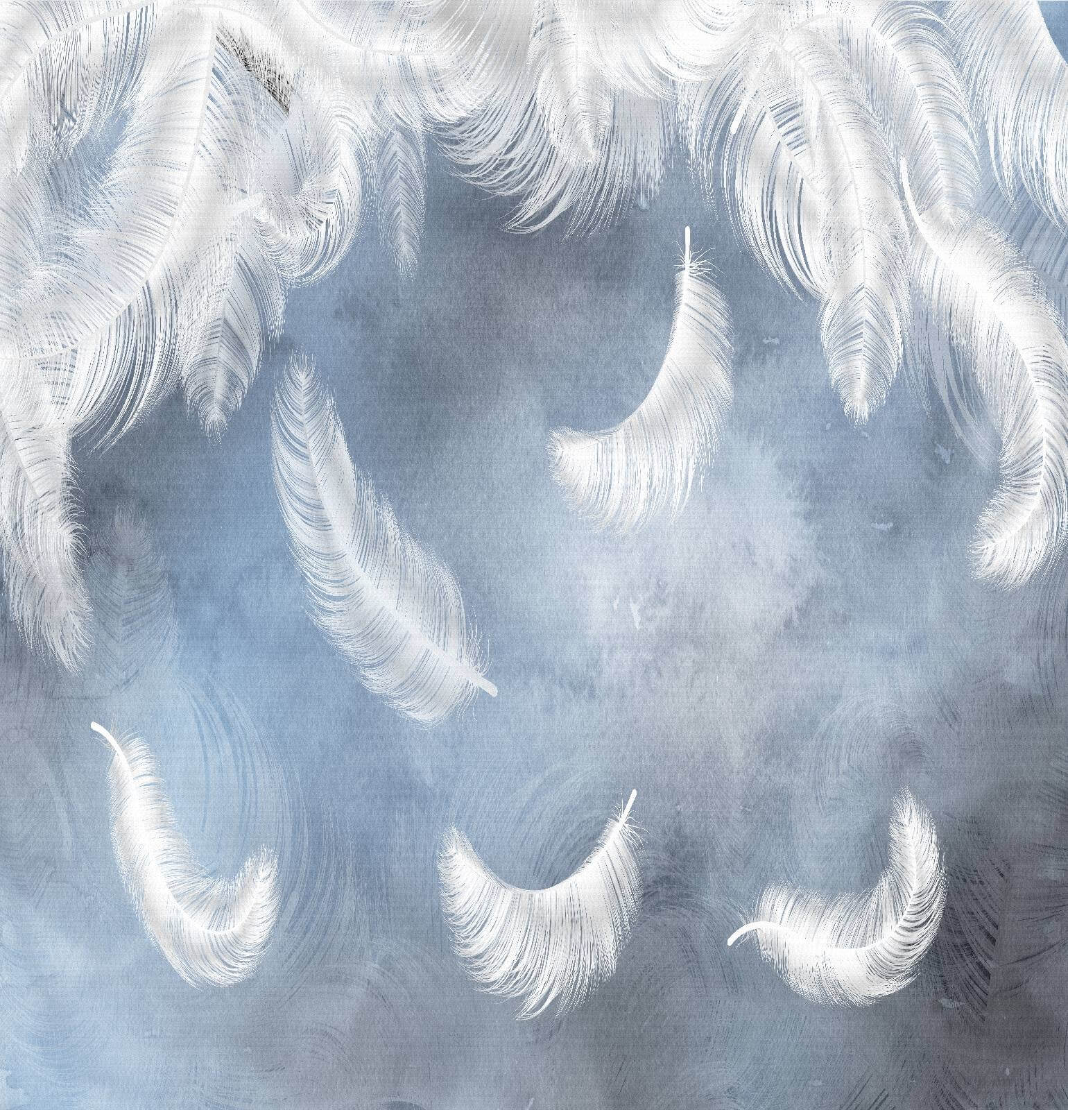 Piume bianche su sfondo blu u23747p - Piume bianche su sfondo blu - tegory