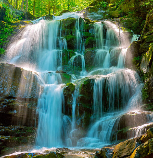 Cascata nel bosco Cascata nel bosco