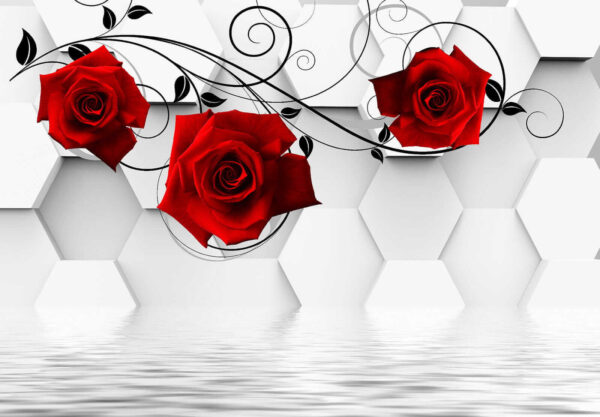 Carta da parati con rose rosse e viti nere Carta da parati con rose rosse e viti nere