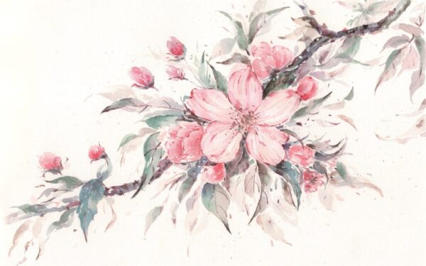 Pittura di fiori rosa su un ramo Pittura di fiori rosa su un ramo