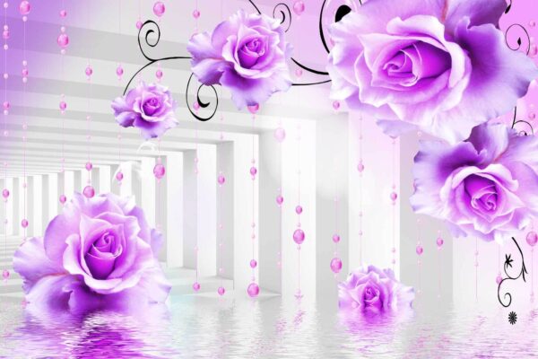 Rose viola da un soffitto Rose viola da un soffitto