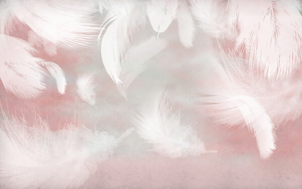 Piume bianche su sfondo rosa Piume bianche su sfondo rosa