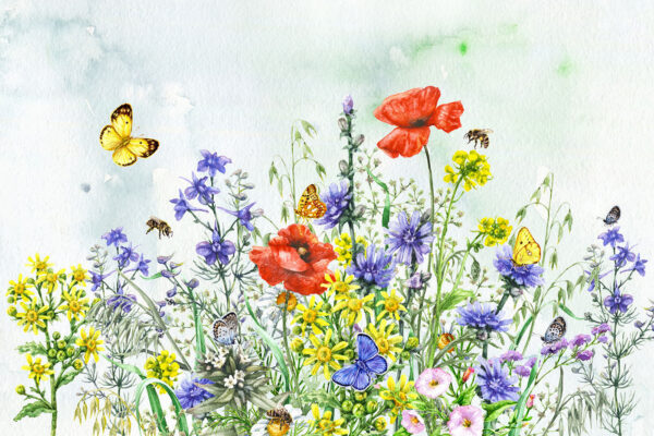 Pittura di fiori e farfalle Pittura di fiori e farfalle