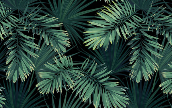 Foglie tropicali su sfondo scuro. Foglie tropicali su sfondo scuro.