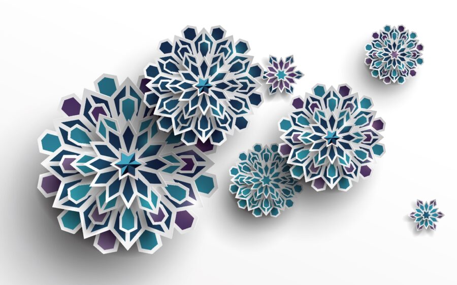Gruppo di fiori bianchi e blu Gruppo di fiori bianchi e blu