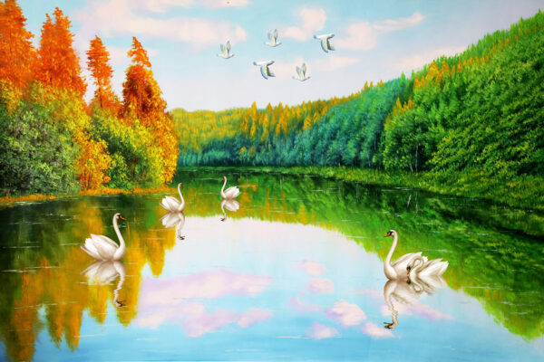 Pittura di cigni su un lago Pittura di cigni su un lago