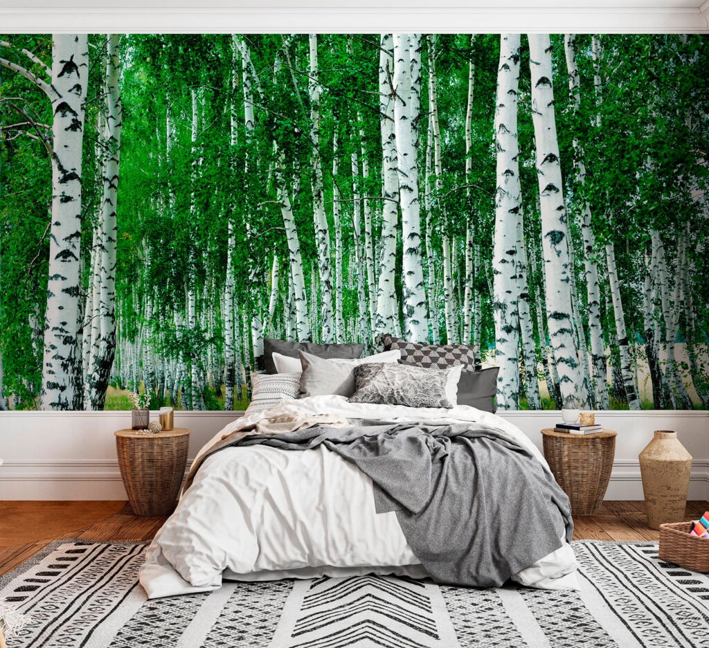 Group of trees with white bark Group of trees with white bark