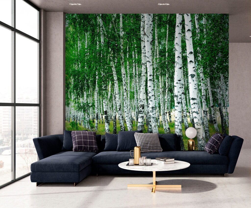 Group of trees with white bark Group of trees with white bark