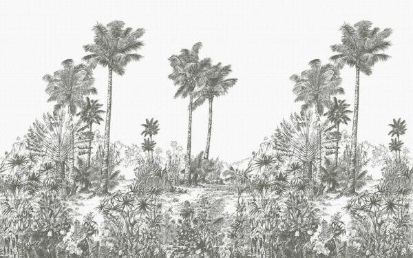 Disegno di palme Disegno di palme