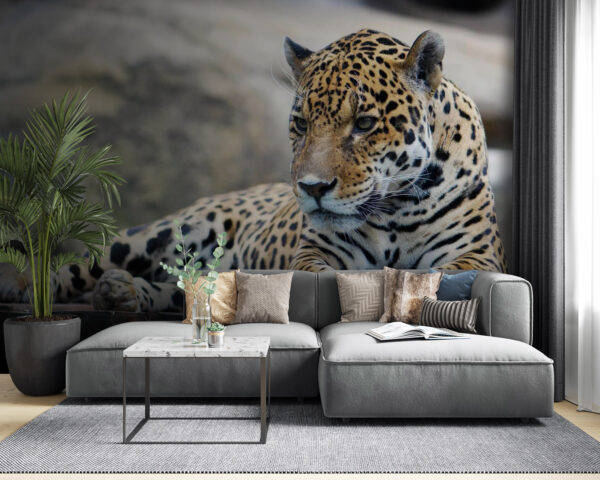 Leopardo sdraiato su una superficie di legno Leopardo sdraiato su una superficie di legno
