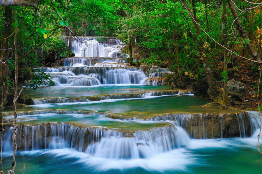 Carta da parati Cascata in una foresta - immagine 11