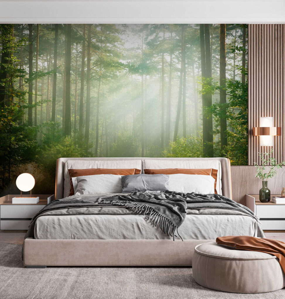 Path through a forest with trees and bushes