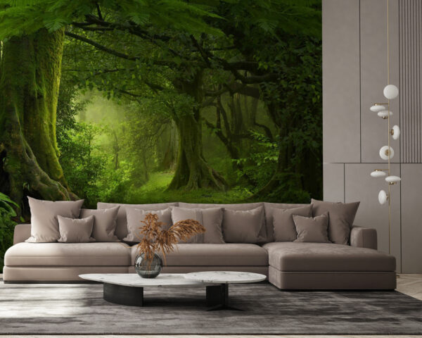 Forest with trees and plants