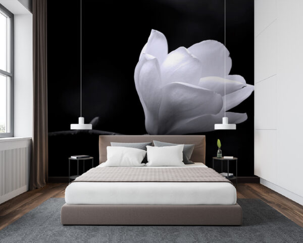 Fiore bianco su un ramo Fiore bianco su un ramo
