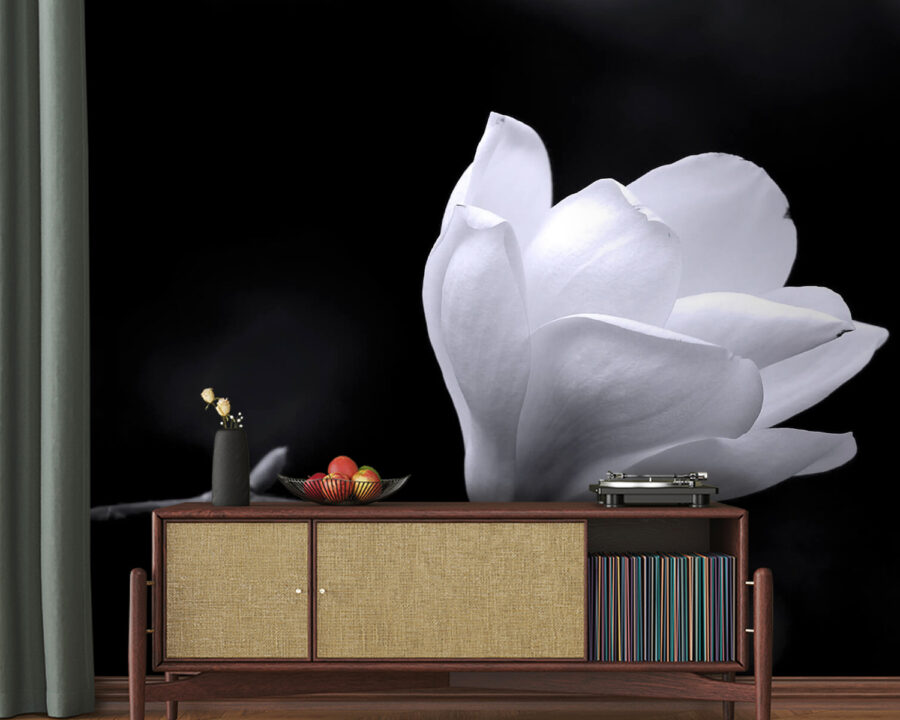 Fiore bianco su un ramo