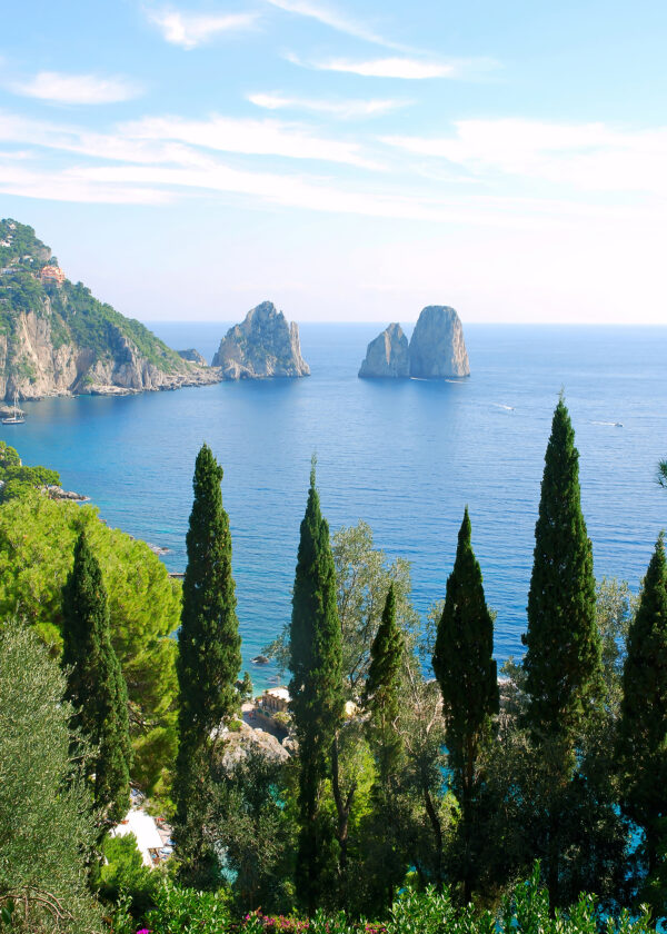 Gruppo di alberi vicino a uno specchio d'acqua Gruppo di alberi vicino a uno specchio d'acqua