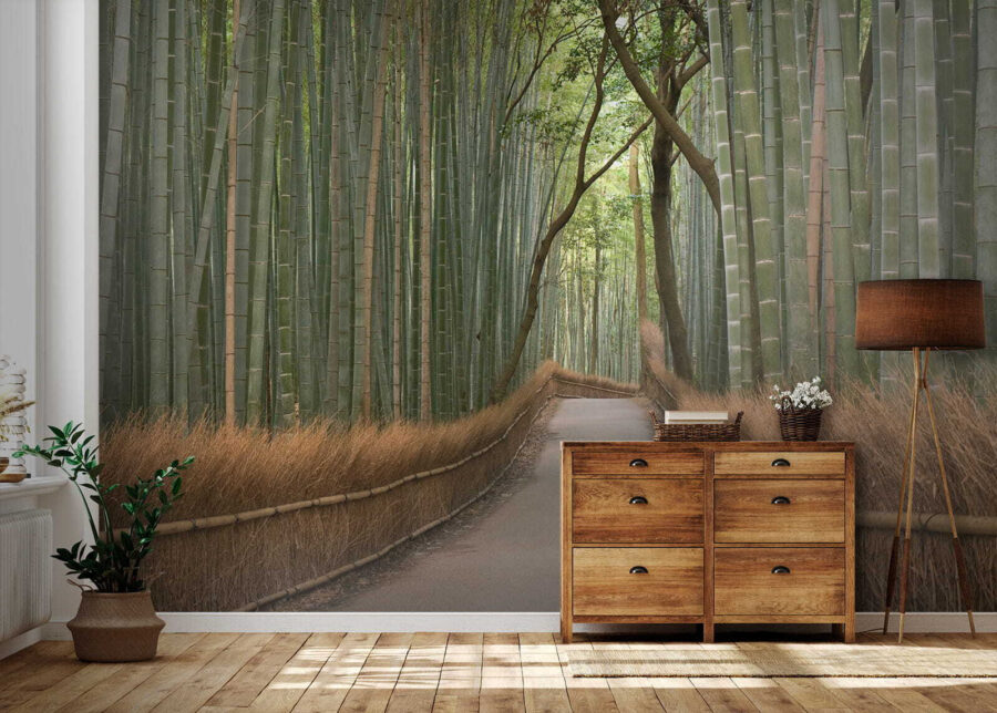 Sentiero attraverso una foresta di bambù Sentiero attraverso una foresta di bambù
