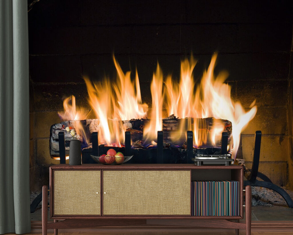 u56584pig20 1024x819 - Fuoco in un camino - tegory