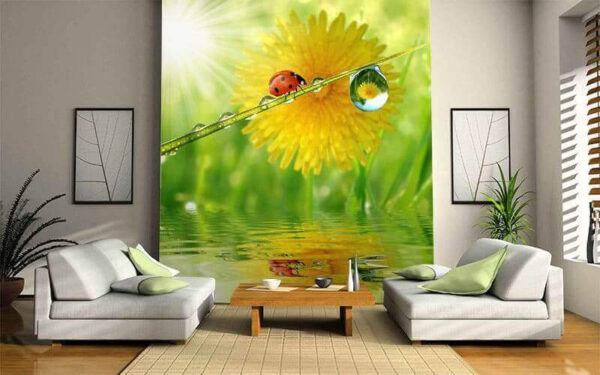 Coccinella su un filo d'erba con gocce d'acqua Coccinella su un filo d'erba con gocce d'acqua