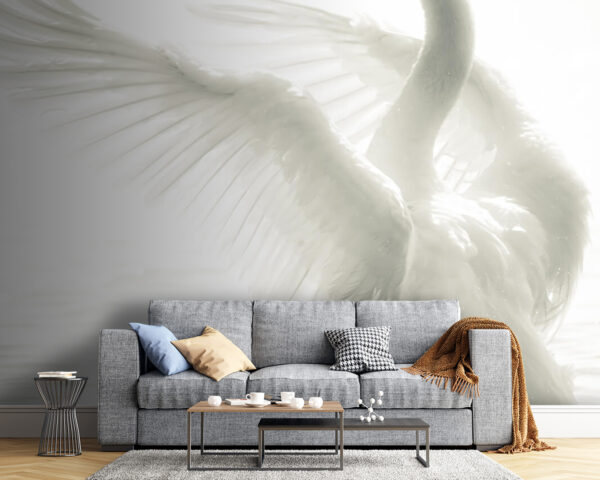 Cigno bianco ad ali spiegate nell'acqua Cigno bianco ad ali spiegate nell'acqua