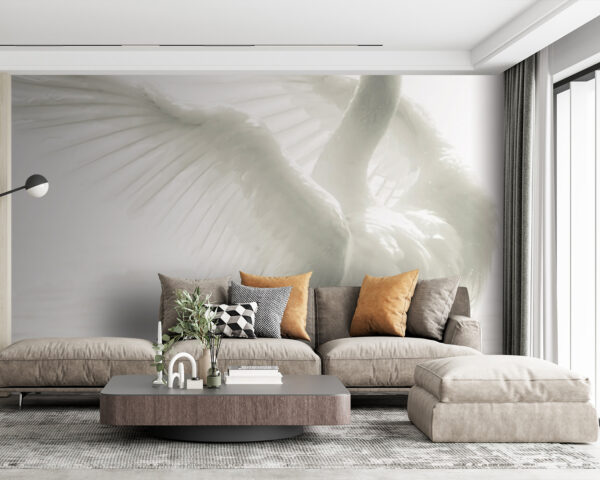 Cigno bianco ad ali spiegate nell'acqua Cigno bianco ad ali spiegate nell'acqua