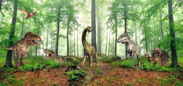 Gruppo di dinosauri in una foresta Gruppo di dinosauri in una foresta