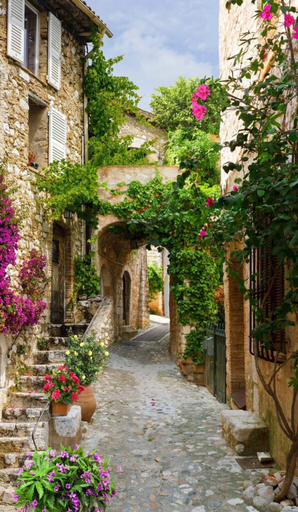 Vicolo di pietra con fiori e piante Vicolo di pietra con fiori e piante